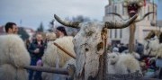 1-dňový zájazd na Fašiangový karneval Busójárás v Moháči 