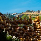 Sunny Days Hotel Resort 4****