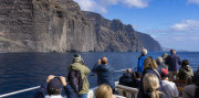 Tenerife – ostrov sopiek a oceánu