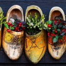 Hotel Porto Planos Beach