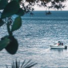 Hotel Oasis Bungalows