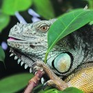 Wellness Hotel Chopok****