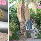 Hotel Oasis Bungalows