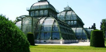 Viedeň očami detí