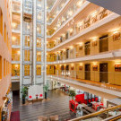 Go Hotel & Kungens Kurva & Scandic espoo & Avalon hotel