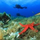 Hotel Mayor La Grotta Verde