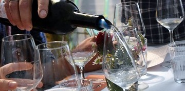 Husacie hody a skanzen v Burgenlande