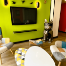 Hotel Urban Style Mouans Sartoux & Hotel ESPLENADE EDEN 