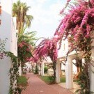 Club Kastalia Hotel 5*****