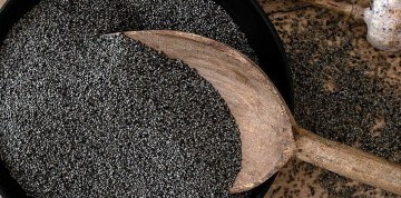 Jednodňový zájazd do Makovej dedinky a na zámok Artstetten