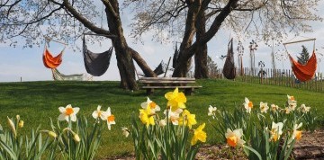 Sokoliarska show na zámku Rosenburg a Kittenbergské záhrady