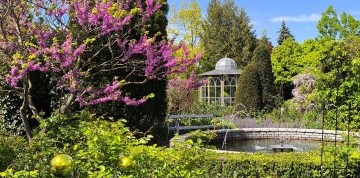 Sokoliarska show na zámku Rosenburg a Kittenbergské záhrady