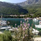 Hotel Drvenik Palace