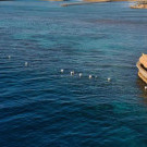 Eagle Downtown Zahabia 4**** Hotel