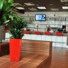 IBIS Krakow Stare Miasto