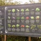 IBIS Lisboa Alfragide