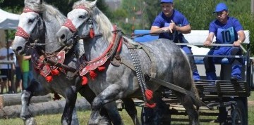 Furmanske preteky na Masarykovom dvore 2026