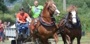Furmanske preteky na Masarykovom dvore 2026