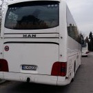 MAN 49 - Grgula