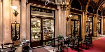 Prehliadka Viedne a nákupy v Parndorfe