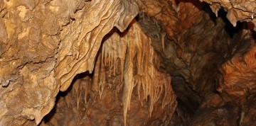 2-dňový autobusový zájazd do Moravského Krasu, Brna a na Pernštejn