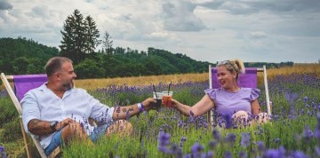 Levanduľový festival na Morave a mesto fontán Olomouc