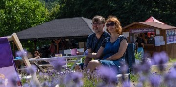 Levanduľový festival na Morave a mesto fontán Olomouc