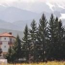 Michel Hotel
