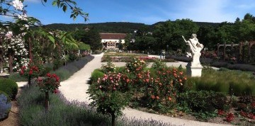 Badenské dni ruží v Baden bei Wien