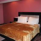 Hotel Erebuni, Jerevan