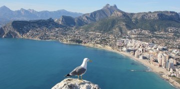 Alicante - Hotel Albahía 3*** s raňajkami letecky z Bratislavy