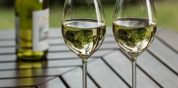 Zámok Lednice a Pálavské vinobranie v Mikulove