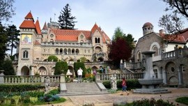 Kráľovský Székesfehérvár a Bory Vár