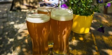 Festival piva vo Viedni s prehliadkou mesta