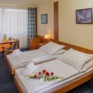 Top Hotel Praha & Congress Centre 4****