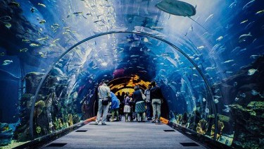 Tropicarium Budapešť: čo uvidíte v najväčšom akváriu Maďarska?